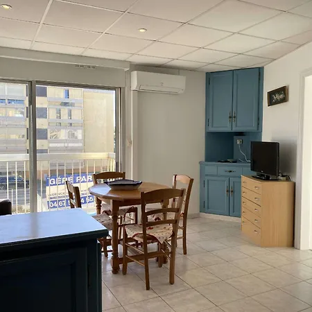T2 Climatise Avec Balcon, Parking, Et Wifi - - Fr-1-553-224